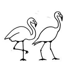 Coloriage Flamant rose en duo