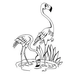 Coloriage Flamants roses dans l'eau