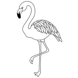 Coloriage Flamant Rose debout sur une patte