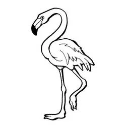 Coloriage Flamant rose debout au cou arqué