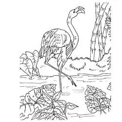 Coloriage Flamant rose se tenant dans l'eau près de bambous