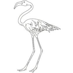 Coloriage Flamant Rose debout de profil