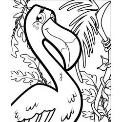 Coloriage Flamant rose souriant dans la végétation