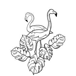 Coloriage Flamant Rose duo debout parmi des feuilles tropicales