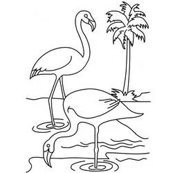 Coloriage Flamant Rose duo près d'un palmier