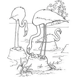 Coloriage Flamants roses dans un paysage tropical