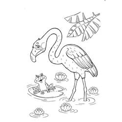 Coloriage Flamant Rose et grenouille aux nénuphars