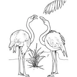Coloriage Flamants roses face à face