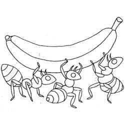 Coloriage Fourmis portant une grosse banane Coloriage Fourmis portant une grosse banane