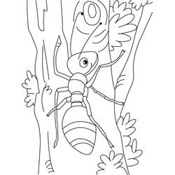 Coloriage Fourmi grimpant sur un tronc d'arbre Coloriage Fourmi grimpant sur un tronc d'arbre