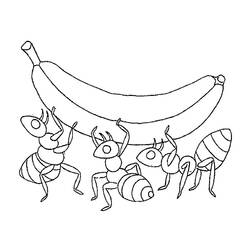 Coloriage Fourmi transportant une banane avec ses amies Coloriage Fourmi transportant une banane avec ses amies