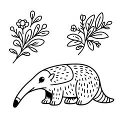 Coloriage Fourmilier avec fleurs et feuilles