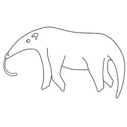 Coloriage Fourmilier marchant avec un long museau