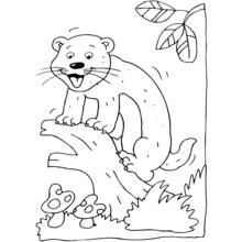Coloriage Furet grimpant sur un tronc d'arbre
