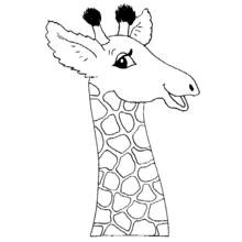 Coloriage Girafe tête et long cou