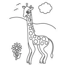 Coloriage Girafe debout dans un paysage simple