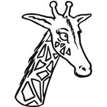 Coloriage Girafe vue de face en gros plan