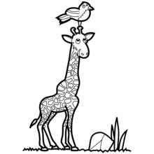 Coloriage Girafe avec un oiseau posé sur sa tête