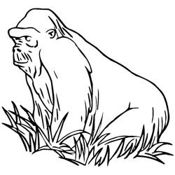 Coloriage Gorille assis dans les hautes herbes