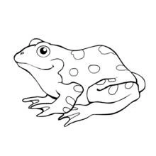 Grenouille - Coloriages gratuits à imprimer