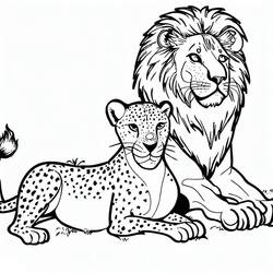 Coloriage Guépard couché près d'un lion au repos