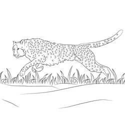 Coloriage Guépard courant dans l'herbe haute
