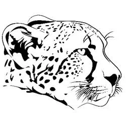 Coloriage Guépard portrait de profil