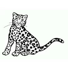 Coloriage Guépard assis regardant sur le côté