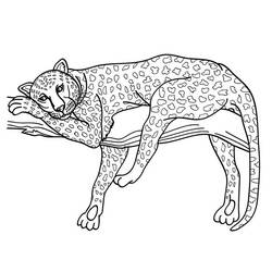 Coloriage Guépard allongé sur une branche