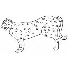 Coloriage Guépard debout au pelage tacheté