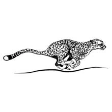 Coloriage Guépard qui court à toute vitesse