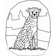 Coloriage Guépard assis de face