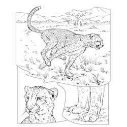 Coloriage Guépard courant dans la savane