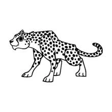 Coloriage Guépard marchant à quatre pattes