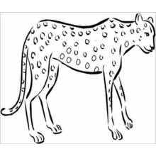 Coloriage Guépard debout de profil
