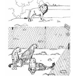 Coloriage Guépard en famille avec un lion au zoo