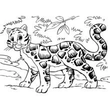 Coloriage Guépard se promenant dans la jungle