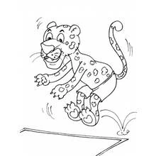 Coloriage Guépard sautant d'un plongeoir