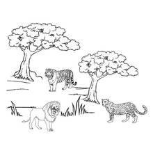 Coloriage Guépard et fauves réunis sous les arbres de la savane