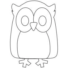 Coloriage Hibou aux grands yeux ronds de face