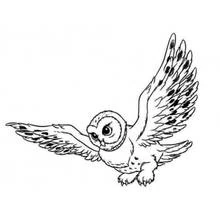 Coloriage Hibou volant avec les ailes déployées