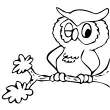 Coloriage Hibou perché sur une branche en train de faire un clin d'œil