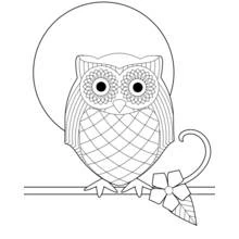 Coloriage Hibou perché devant une pleine lune
