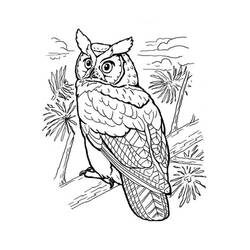 Coloriage Hibou perché sur une branche aux plumes détaillées