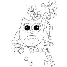 Coloriage Hibou perché sur une branche feuillue