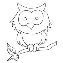Coloriage Hibou perché sur une branche