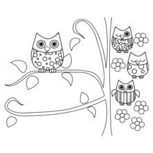 Coloriage Hibou perché sur une branche avec trois bébés hiboux