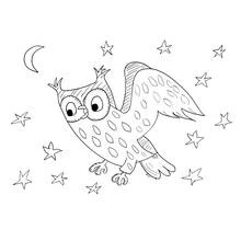 Coloriage Hibou volant sous la lune et les étoiles