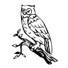 Coloriage Hibou perché sur une branche feuillue