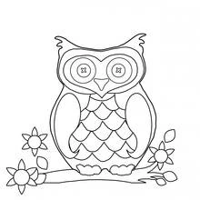 Coloriage Hibou aux yeux boutons sur une branche
